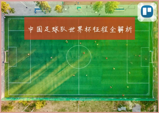 中国足球队世界杯征程全解析