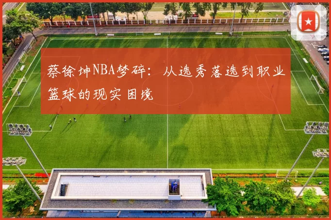 蔡徐坤NBA梦碎:从选秀落选到职业篮球的现实困境