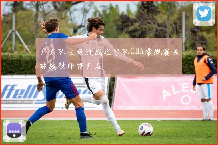 广东队主场迎战辽宁队CBA常规赛关键战役即将开启