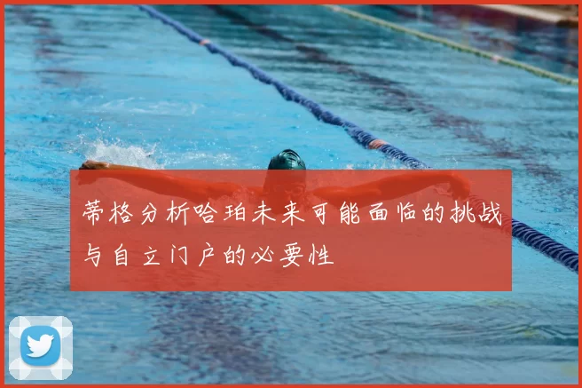 蒂格分析哈珀未来可能面临的挑战与自立门户的必要性