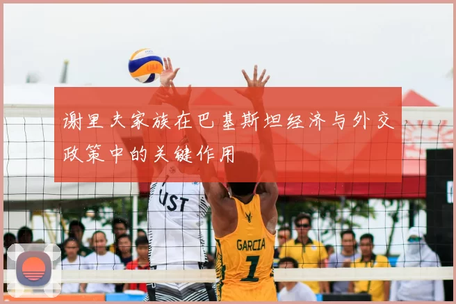 谢里夫家族在巴基斯坦经济与外交政策中的关键作用