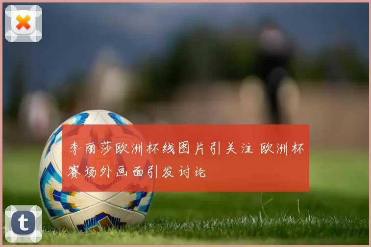 李丽莎欧洲杯线图片引关注 欧洲杯赛场外画面引发讨论