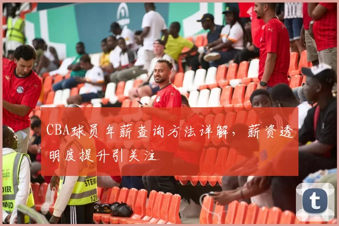 CBA球员年薪查询方法详解，薪资透明度提升引关注