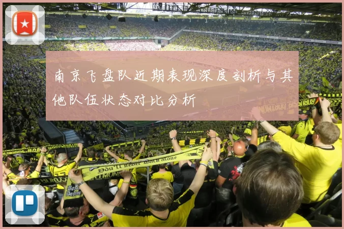 南京飞盘队近期表现深度剖析与其他队伍状态对比分析