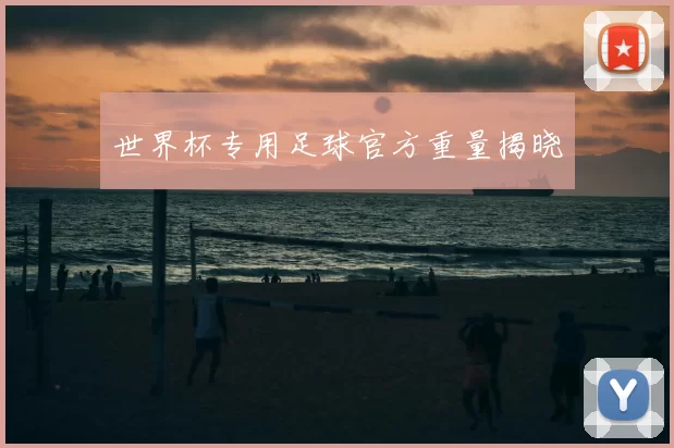 世界杯专用足球官方重量揭晓