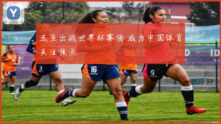 王茧出战世界杯赛场 成为中国体育关注焦点