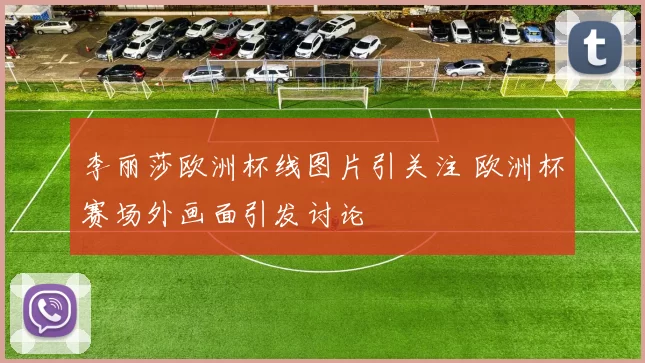 李丽莎欧洲杯线图片引关注 欧洲杯赛场外画面引发讨论