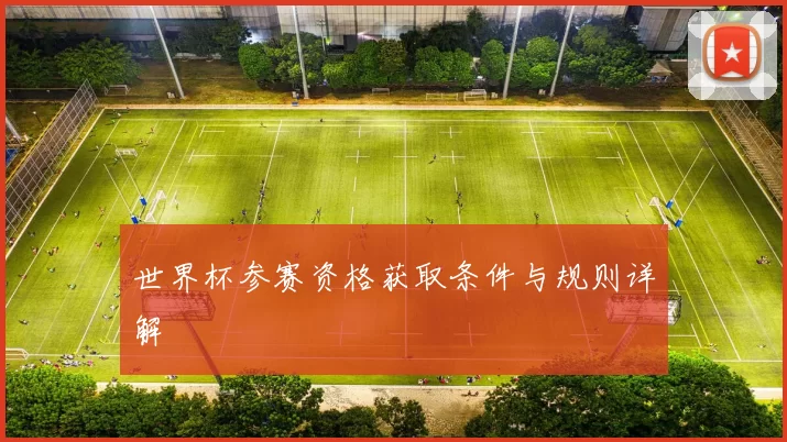世界杯参赛资格获取条件与规则详解