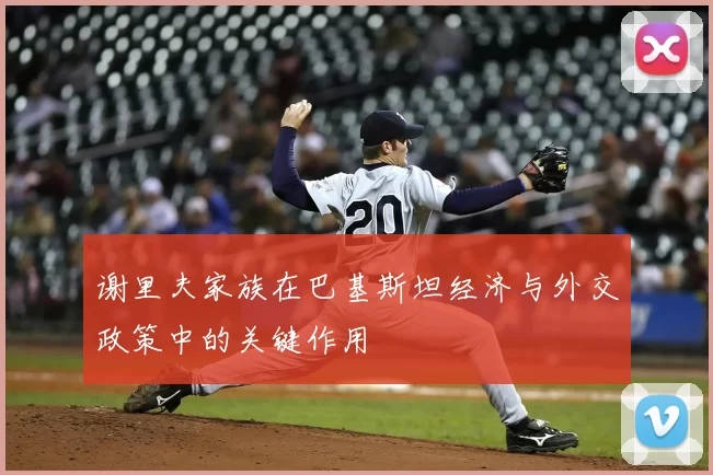 谢里夫家族在巴基斯坦经济与外交政策中的关键作用
