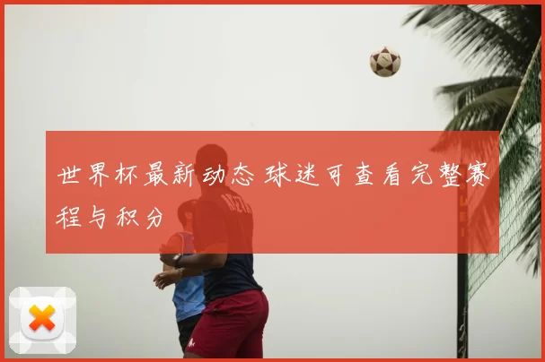 世界杯最新动态 球迷可查看完整赛程与积分