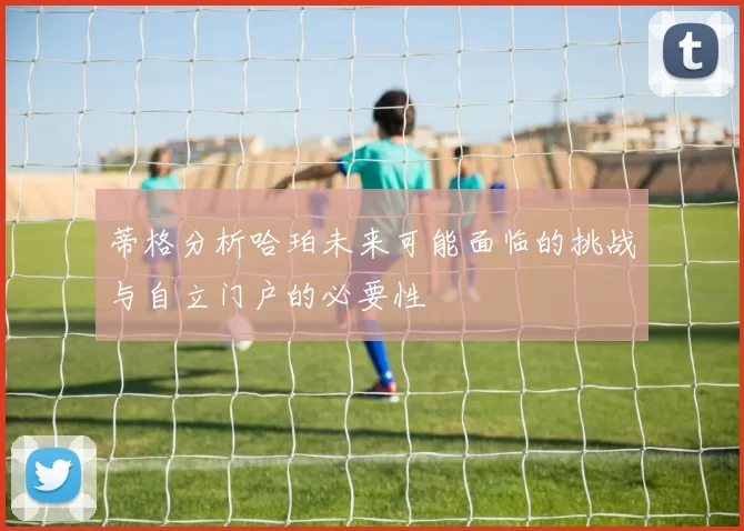 蒂格分析哈珀未来可能面临的挑战与自立门户的必要性