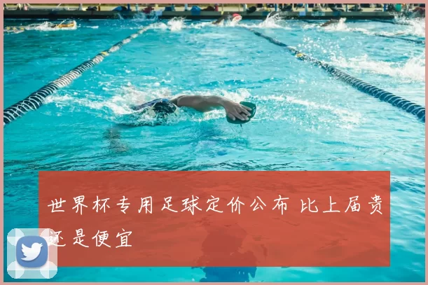 世界杯专用足球定价公布 比上届贵还是便宜