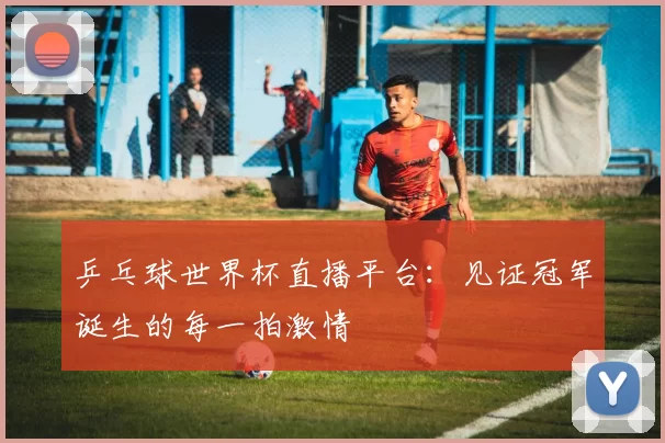 乒乓球世界杯直播平台:见证冠军诞生的每一拍激情
