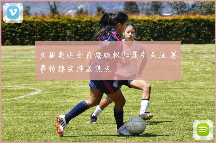 女排奥运会直播版权归属引关注 赛事转播安排成焦点