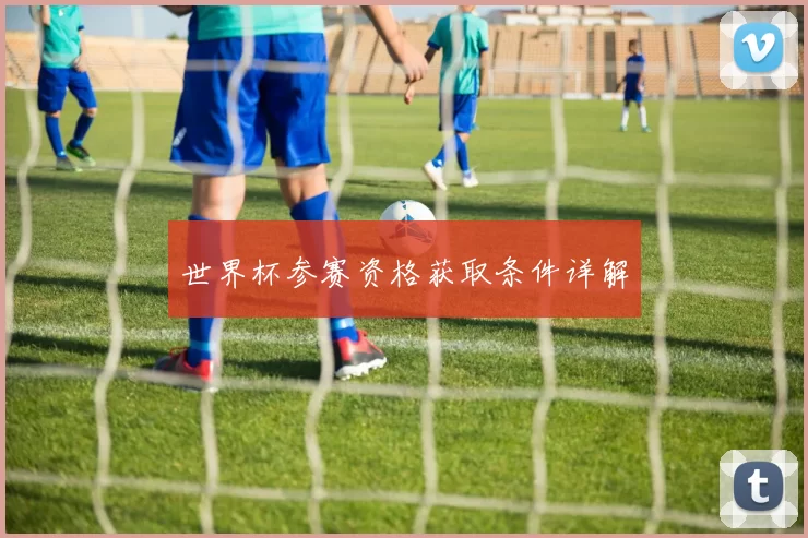 世界杯参赛资格获取条件详解