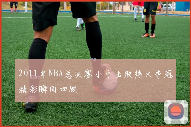 2011年NBA总决赛小牛击败热火夺冠精彩瞬间回顾