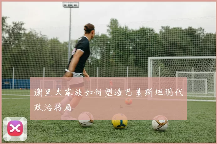 谢里夫家族如何塑造巴基斯坦现代政治格局