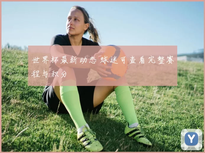 世界杯最新动态 球迷可查看完整赛程与积分